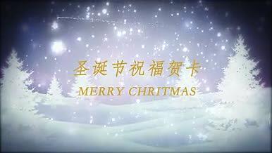 雪花飘落圣诞树ae祝福视频视频的预览图